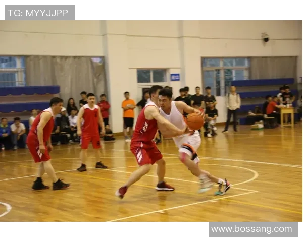 专访黄芳：深入探讨篮球领域成功背后的秘诀与经验分享